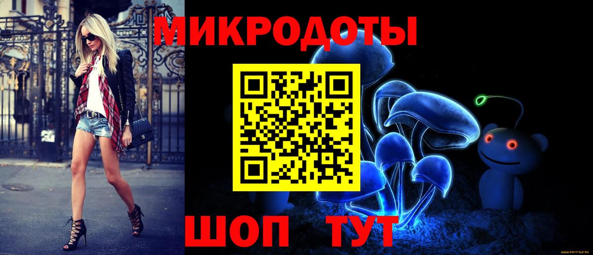 Галлюциногенные грибы Psilocybine cubensis Домодедово