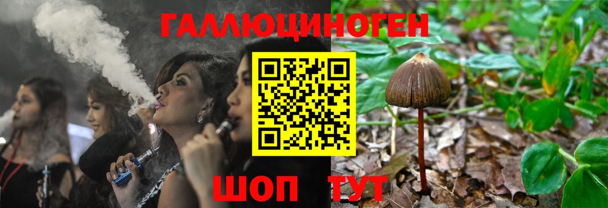 Домодедово  Галлюциногенные грибы MAGIC MUSHROOMS  Галлюциногенные грибы MAGIC MUSHROOMS  Вход с VPN 